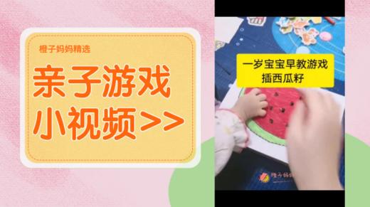 一岁宝宝早教游戏插西瓜籽 商品图0