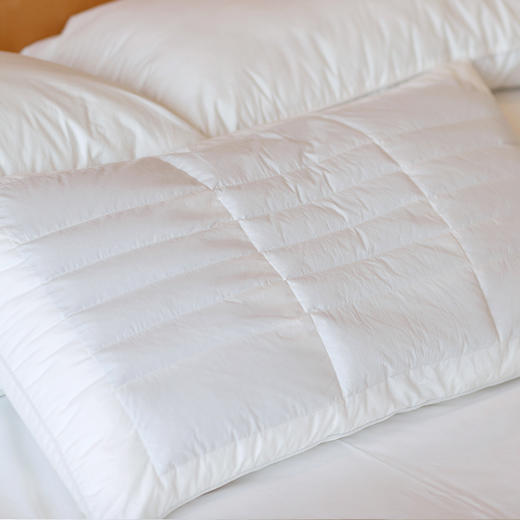 【呵护颈椎】维也纳 荞麦枕 纯天然荞麦壳 商品图1