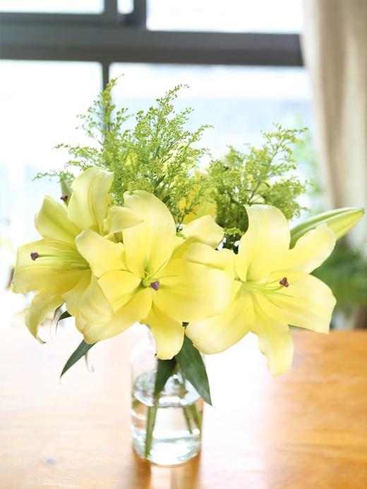 黄天霸百合（5月27日下午取花），一束3支（3头），原价58元/扎，团购价19.9元/束！ 商品图1
