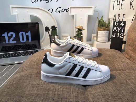 原单贝-壳 商品图0