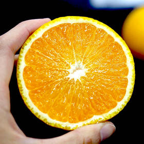 「冬日里的一把灭火器」丽水庆元甜桔柚大果10斤装