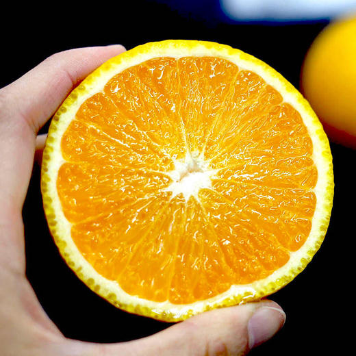 「冬日里的一把灭火器」丽水庆元甜桔柚大果10斤装 商品图0