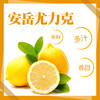 新鲜四川安岳黄柠檬10枚装小果新鲜水果 商品缩略图5