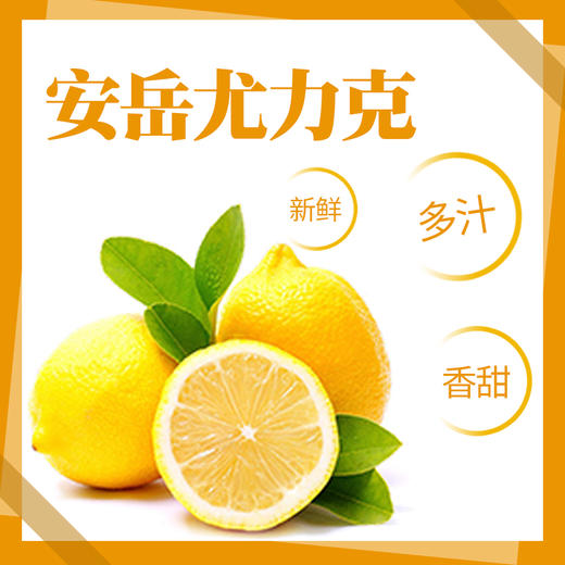 新鲜四川安岳黄柠檬10枚装小果新鲜水果 商品图5