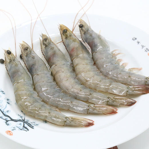 基围虾大（活)（提前24小时预订） 商品图3