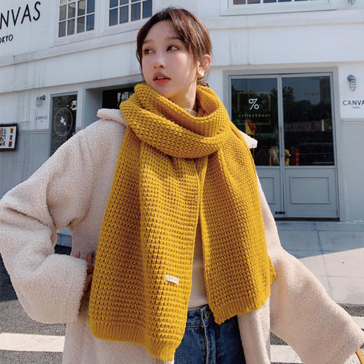 JN-冬季韩版粗毛线针织双面长款加厚保暖围脖 商品图0