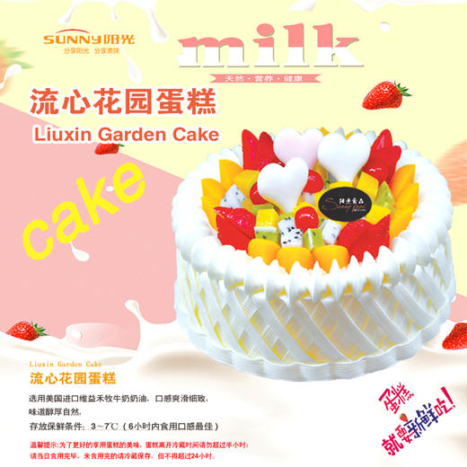 流星花园蛋糕 商品图3