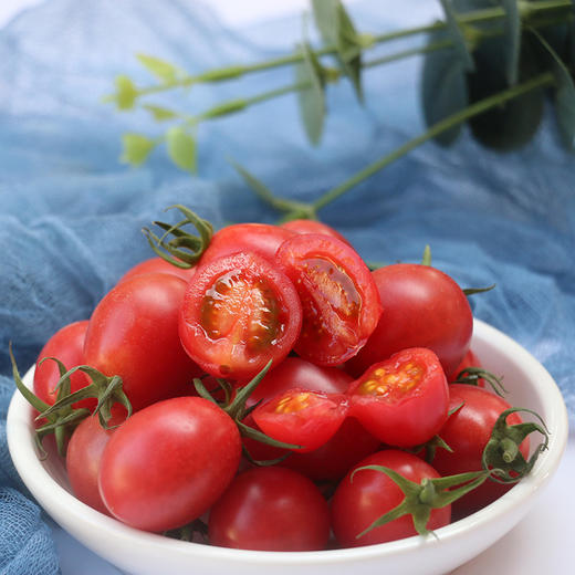 电白非转基因千禧小番茄 4斤 - u生活严选