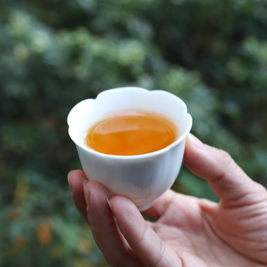 2024特大【大金针】单芽  凤庆明前头采大金针！ 商品图8