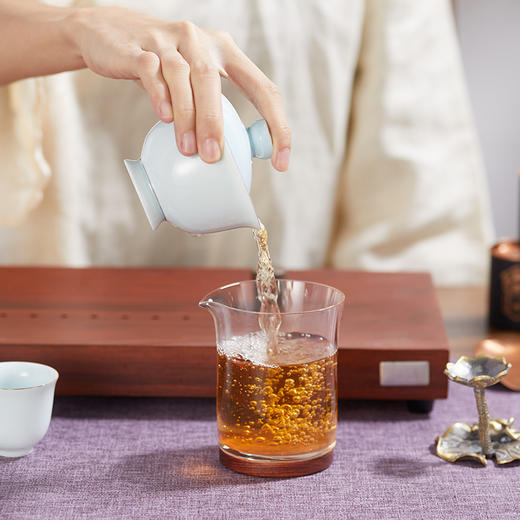 自家系列丨2007年 家和 老树白牡丹 100g（5g*20罐） 商品图6