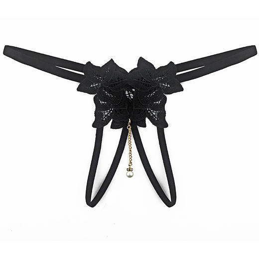 忌平庸情趣内衣性感情趣内衣女内裤透明刺绣火辣开档丁字裤erotic