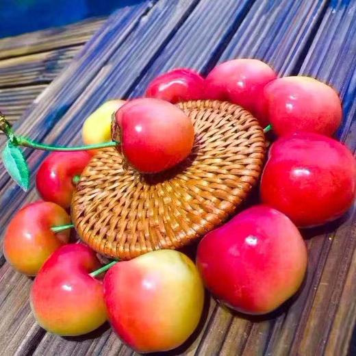 #智利空运 首批SAN FCO Rainier雷尼尔黄车超级‎脆‎甜​，嗨起来 商品图0