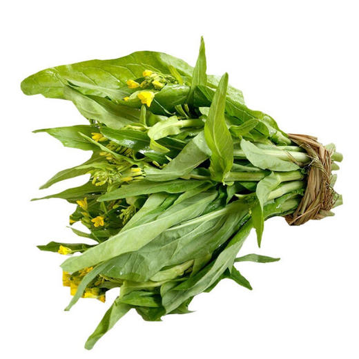 新鲜白菜苔 商品图2