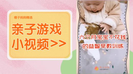 六个月宝宝不花钱的益智早教训练 商品图0