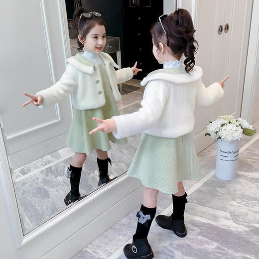 ZCY-新款韩版加厚水貂绒公主裙两件套 商品图2