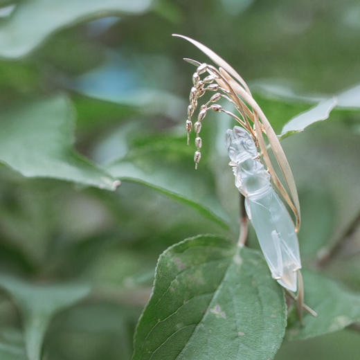 「蝉」翡翠蝉黄金胸针（仅现货） 商品图1