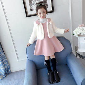 ZCY-新款韩版加厚水貂绒公主裙两件套