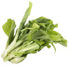新鲜白菜苔 商品缩略图1