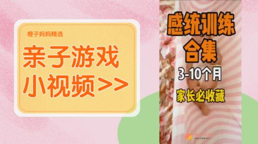 3-10个月感统训练 商品图0