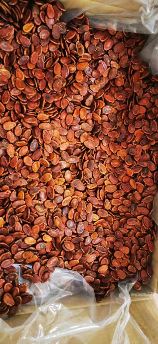 红瓜子 商品图2