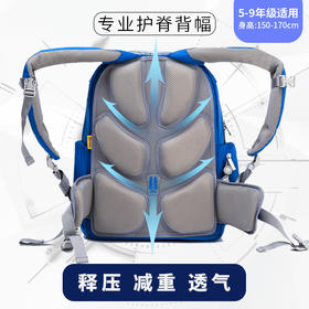 牛顿大童适合4-6年级