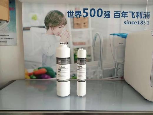  Philips/飞利浦F400-D1/F1净水器常换第一节第二节两支滤芯组合【WP3975/11+WP3976/11】 商品图1