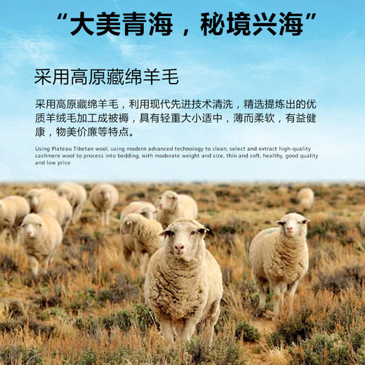 高原丰收羊毛被1.5mX2m 商品图1