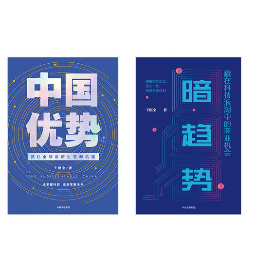 中国优势+暗趋势（套装2册） 王煜全 著 得到罗振宇跨年演讲重磅推荐 中国社会 科技创新 中信出版社图书 正版 商品图4