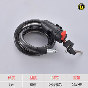 〖A066〗533钢丝防盗锁1米