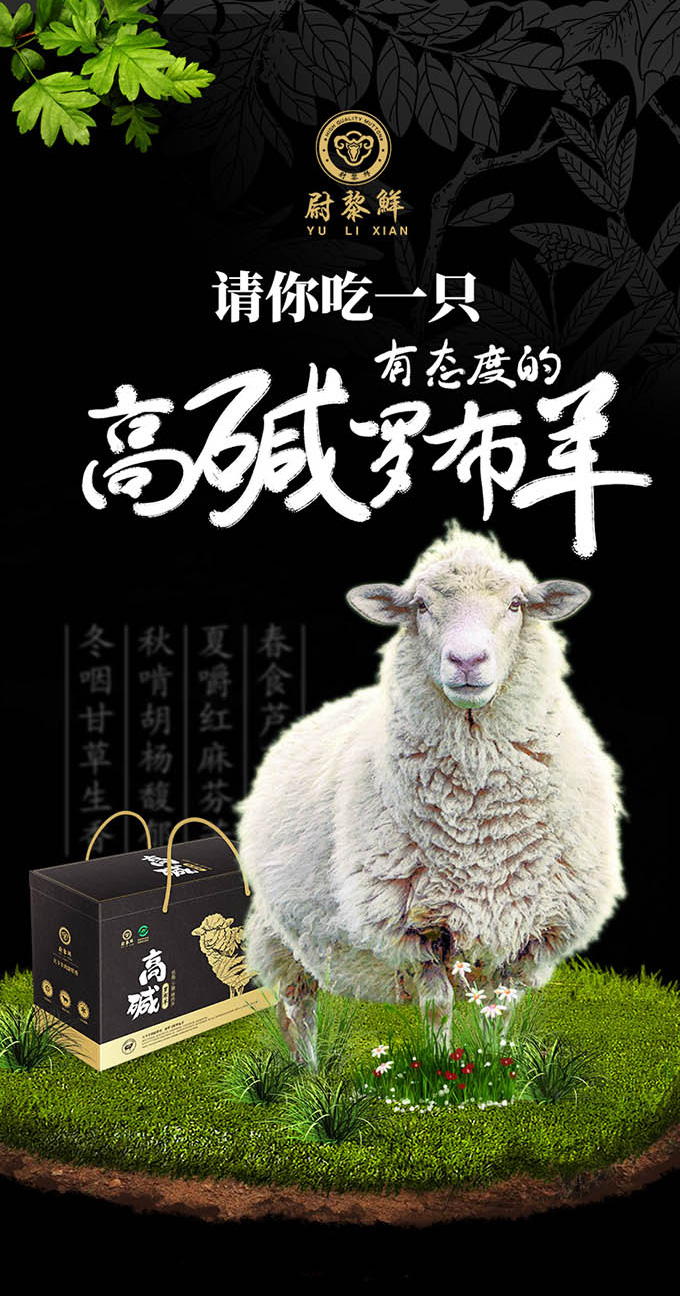 全国包邮稀有尉犁县罗布羊