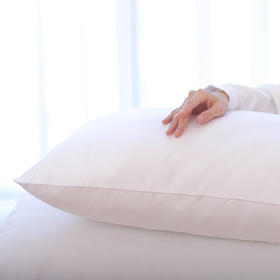 酒店品质 | 超柔羽丝棉枕芯 羽丝棉内料 家用款 70*48cm（含枕套） 单个装