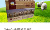 高原丰收羊毛被1.5mX2m 商品缩略图2
