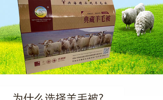高原丰收羊毛被1.5mX2m 商品图2