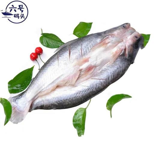 六号码头开背巴沙鱼 商品图1