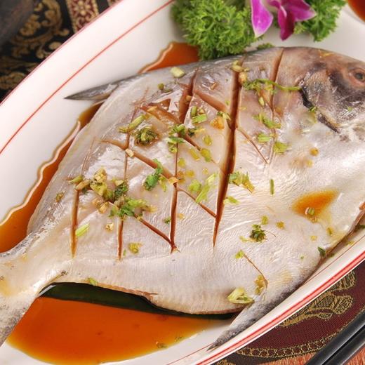 (ysd)野生银鲳鱼白鲳鱼500g