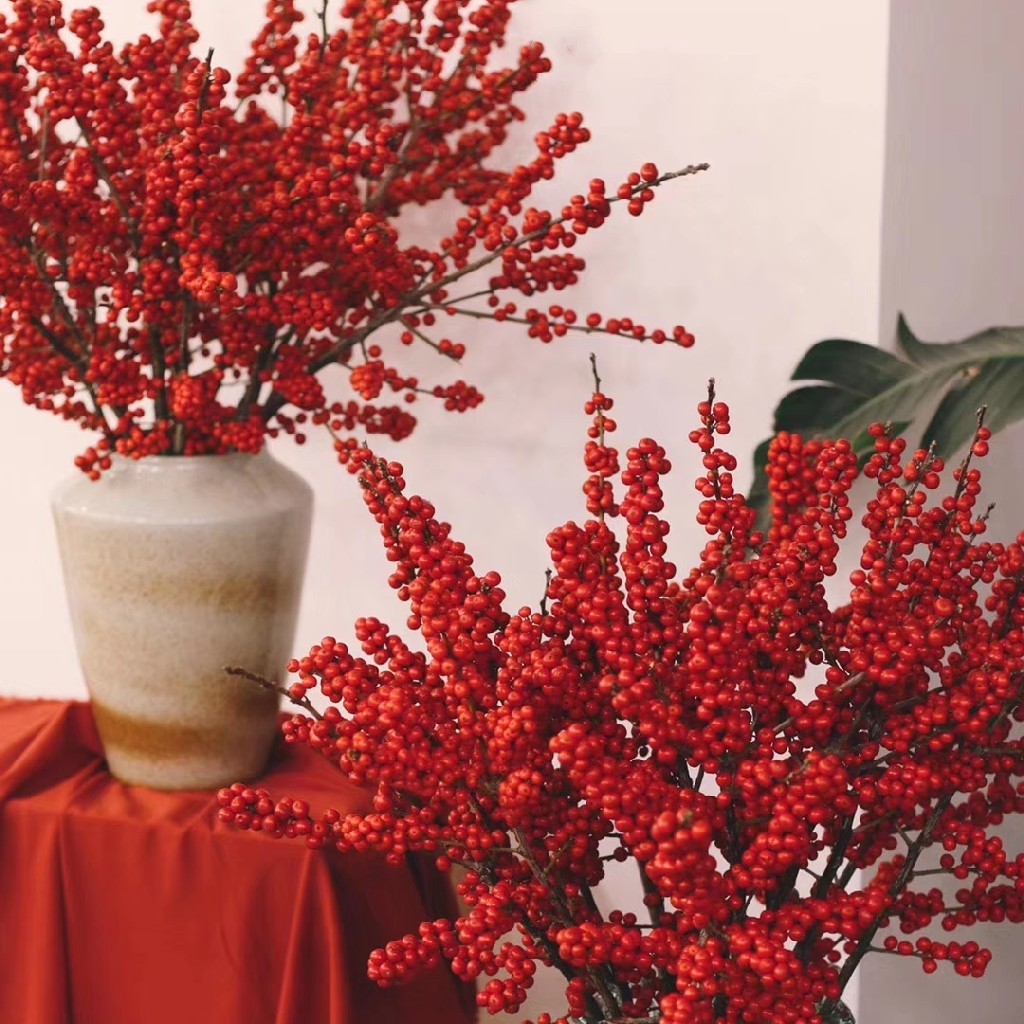 北美冬青红色90cm
