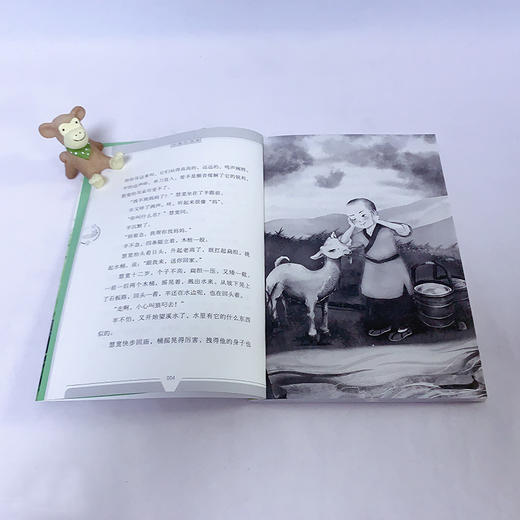 小莲灯书系 全5册 商品图4