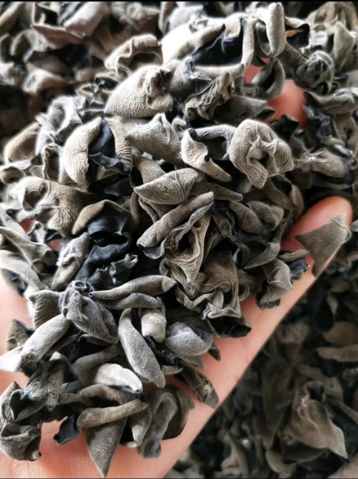 基地包邮 | 生态椴树碗耳(木耳 无添加) 长白山潘喜贞