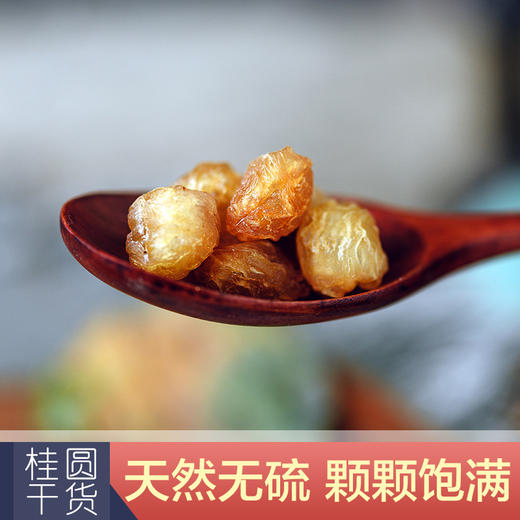【桂圆干肉】广西桂圆肉无核特级肉干200g 商品图3