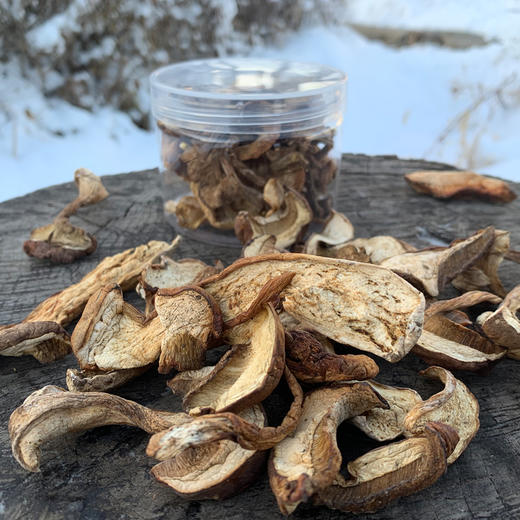 基地包邮野生牛肝菌东北长白山