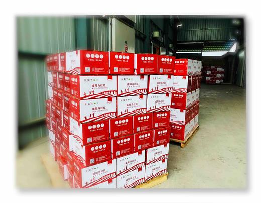 小红果 商品图2