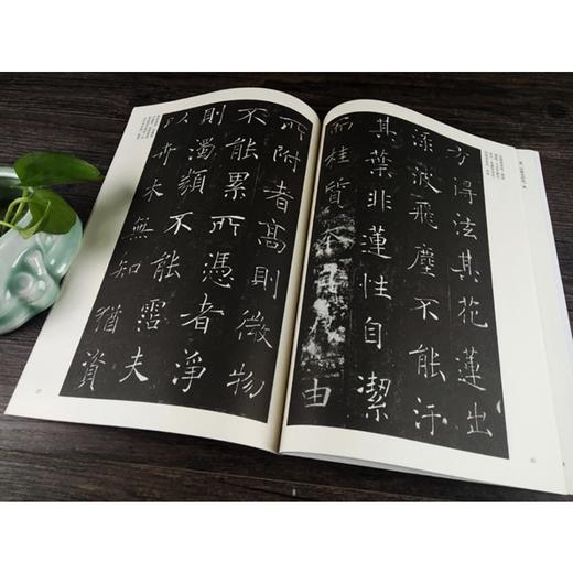 褚遂良雁塔圣教序/中国古代法书选 商品图4