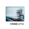 前展厅 木框翻盖装饰画 43*55 商品缩略图0