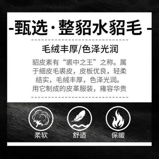 HH-YTM2003MC新款进口整貂连帽貂皮大衣外套 商品图3