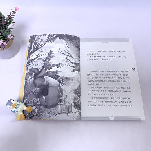 小莲灯书系 全5册 商品图3