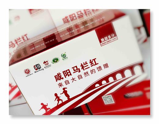 小红果 商品图0