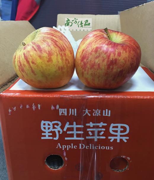 【一件代发】四川大凉山盐源冰糖心丑苹果  4.5斤左右/箱 商品图0
