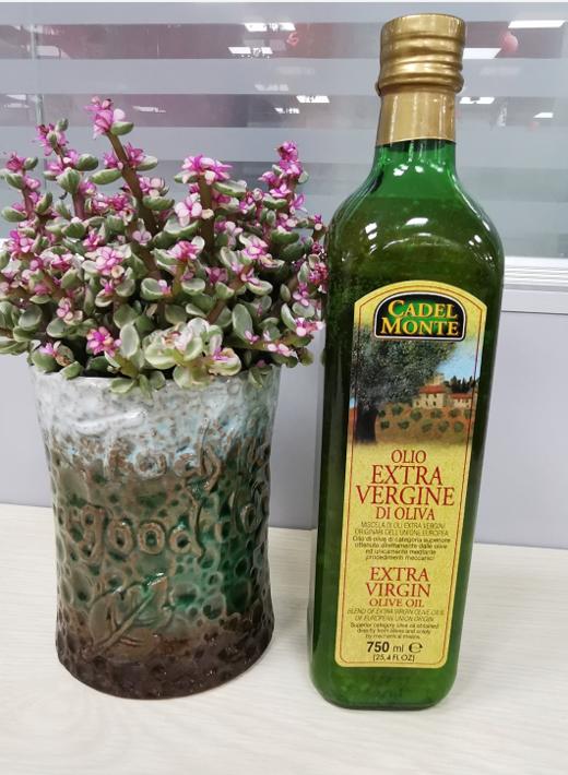 欧洲特级初榨橄榄油750ml（绿瓶）-JF 商品图1