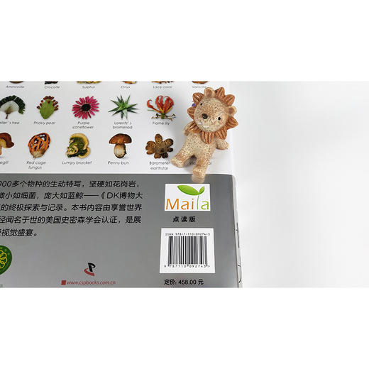 【点读版】DK博物大百科 商品图4