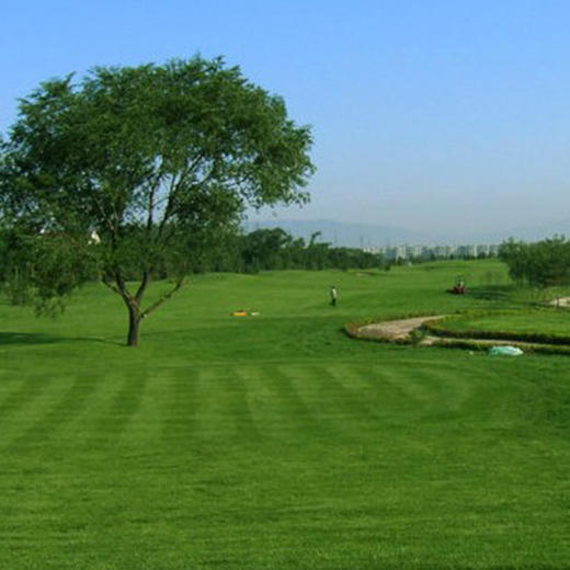 山西太原辰憬高尔夫球会 商品图0